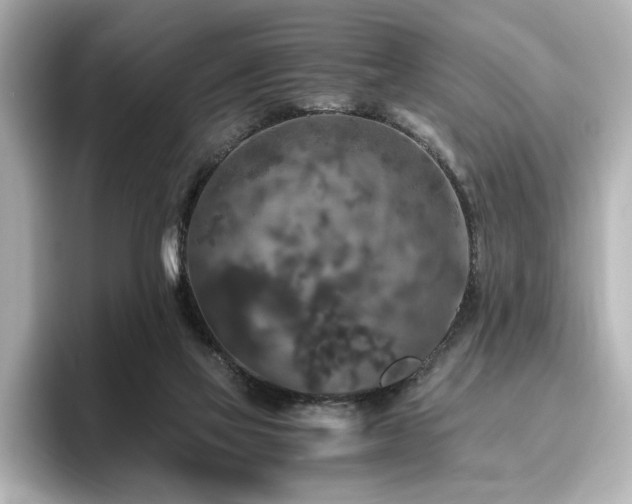 X0000096640069200802051137