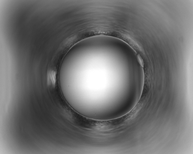 X0000096640070200802051137