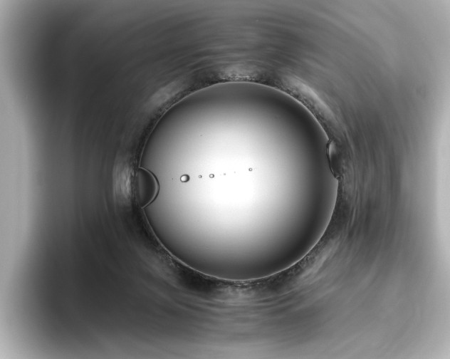 X0000096640071200802051137