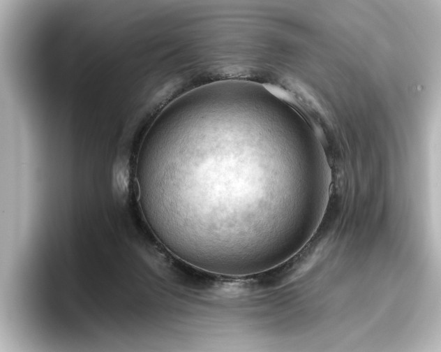 X0000096640072200802051137