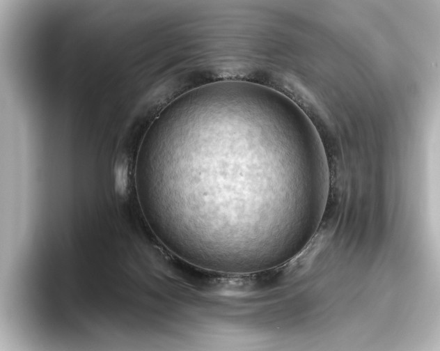 X0000096640074200802051137