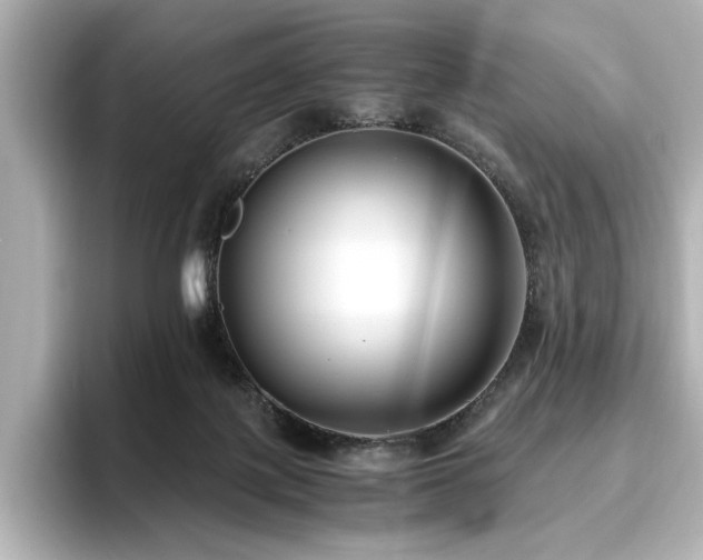 X0000096640075200802051137