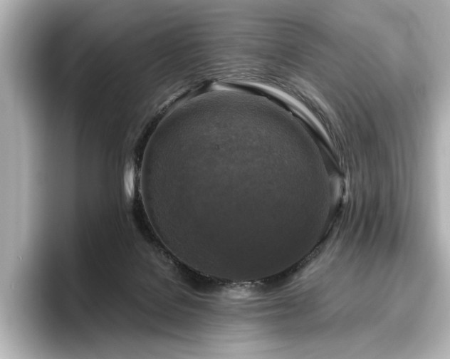 X0000096640076200802051137