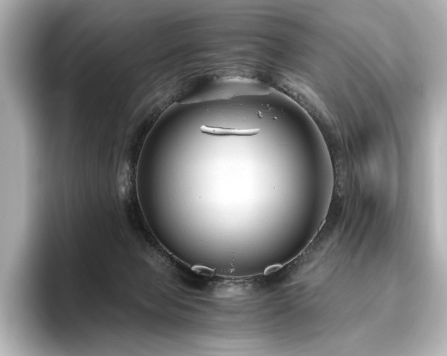X0000096640077200802051137