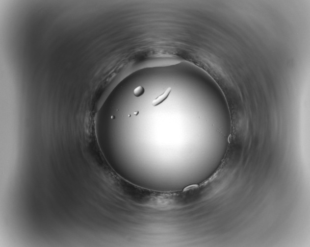 X0000096640078200802051137