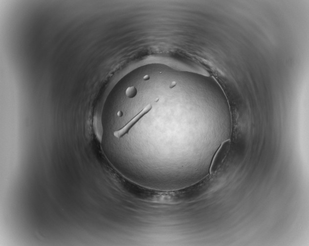 X0000096640080200802051137