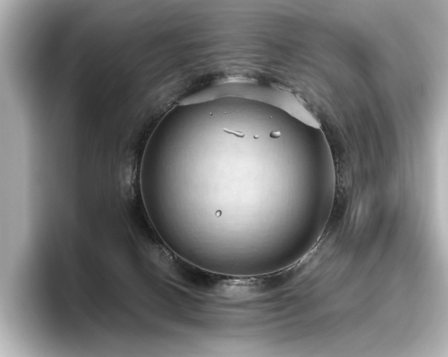 X0000096640082200802051137