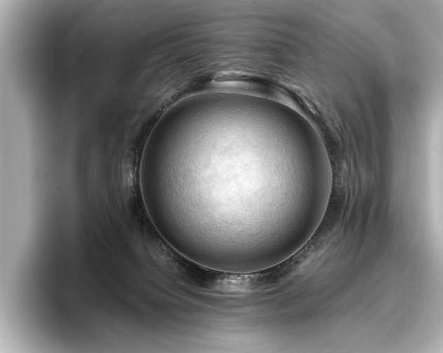 X0000096640084200802051137