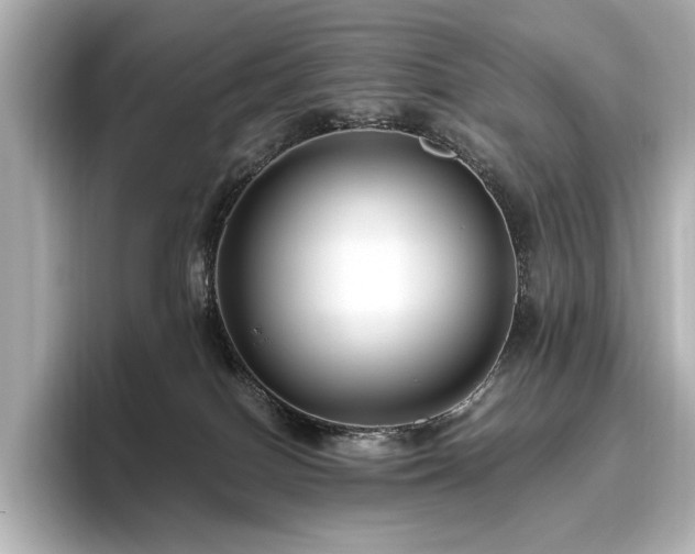 X0000096640086200802051137