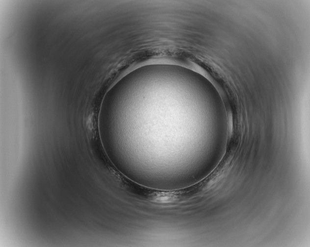 X0000096640088200802051137