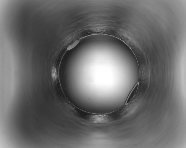 X0000096640089200802051137