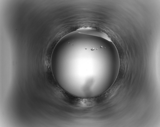 X0000096640091200802051137