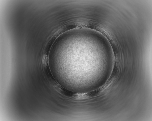 X0000096640093200802051137