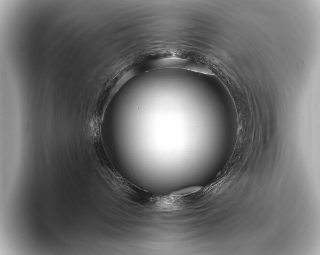 X0000096640096200802051137