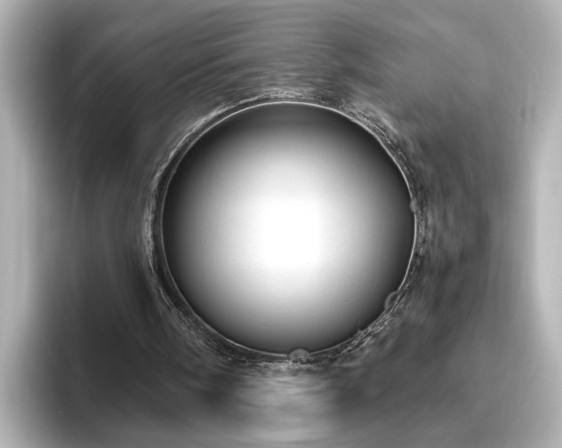 X0000096640098200802051136