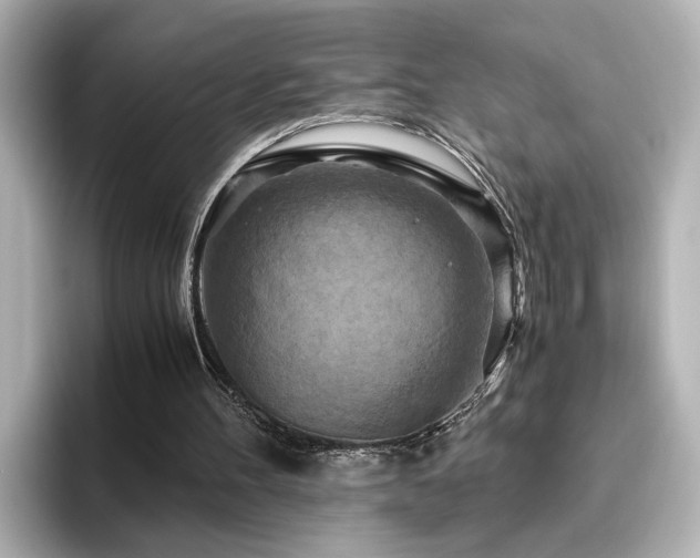 X0000096640100200802051136