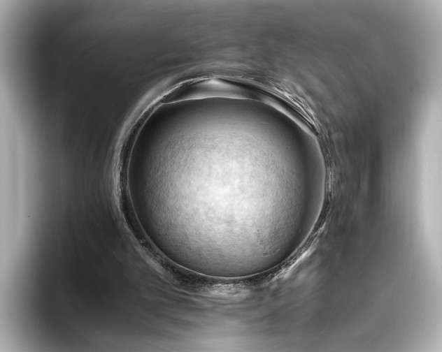 X0000096640101200802051136