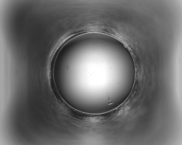 X0000096640103200802051136