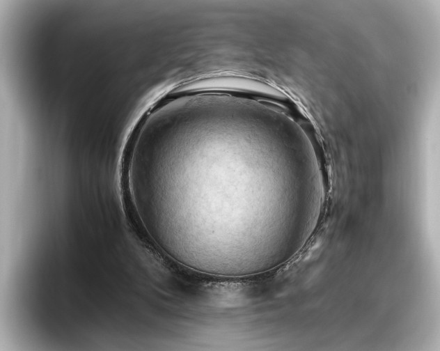 X0000096640104200802051136