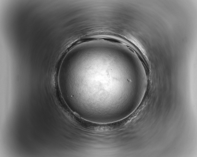 X0000096640105200802051136