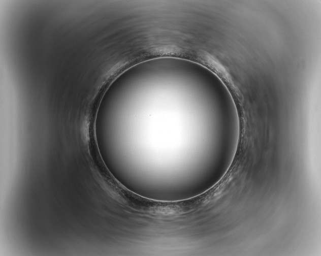 X0000096640106200802051136