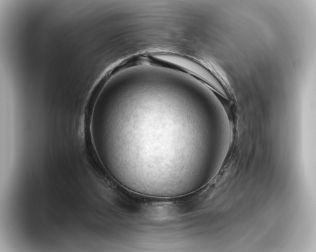 X0000096640108200802051136