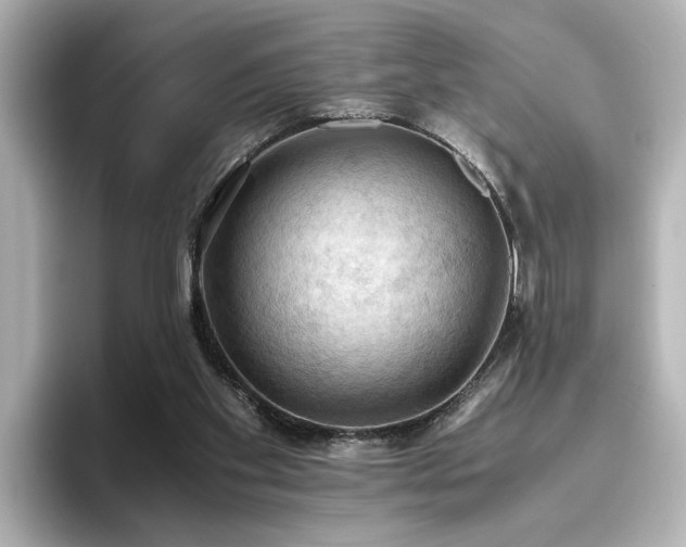 X0000096640109200802051136