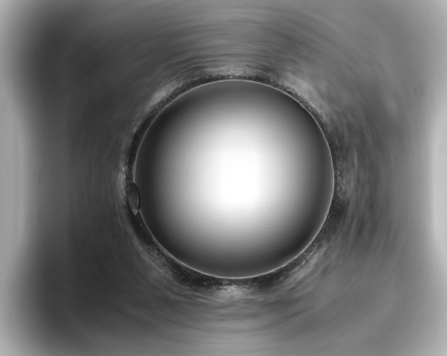 X0000096640111200802051136