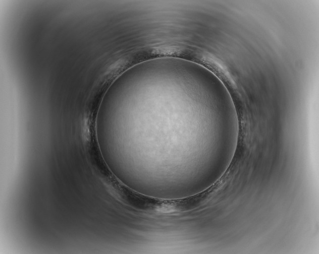 X0000096640114200802051136