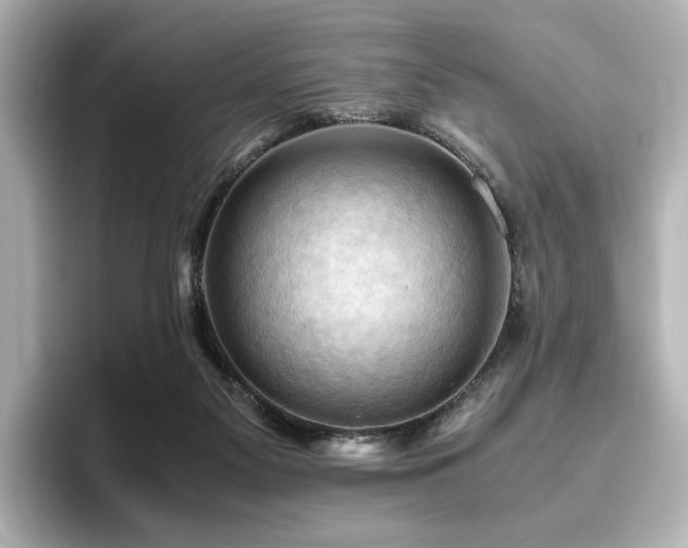 X0000096640117200802051136