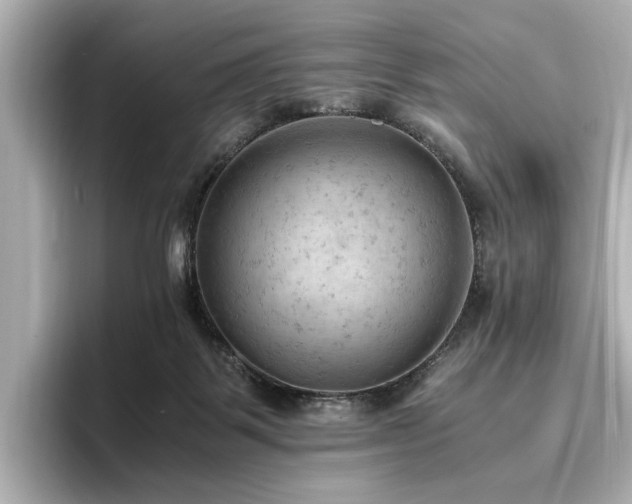X0000096640123200802051136