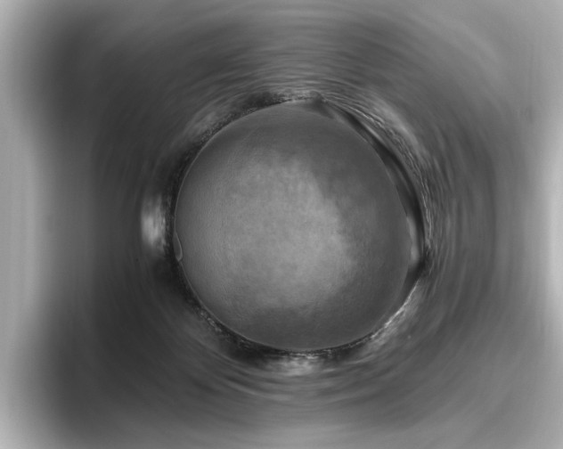 X0000096640124200802051136