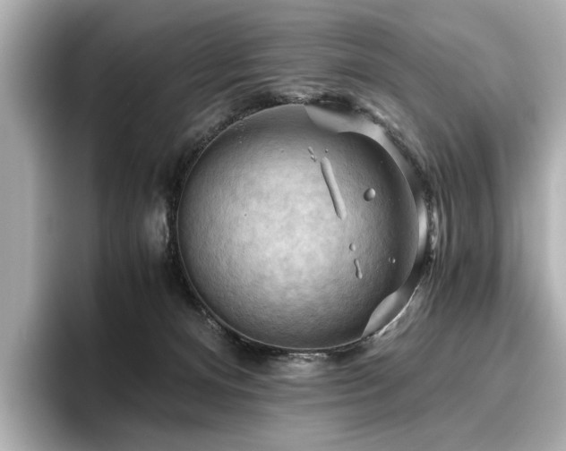 X0000096640128200802051136