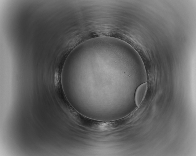 X0000096640130200802051136