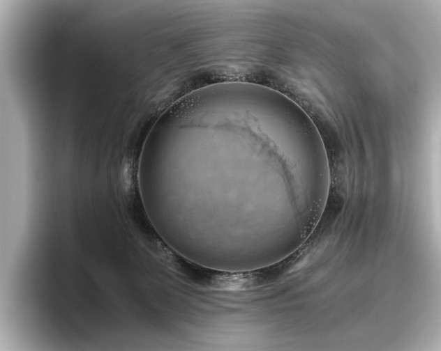X0000096640131200802051136