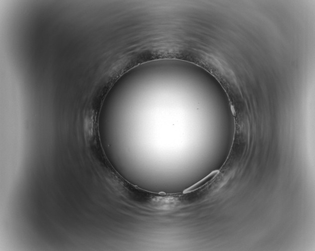 X0000096640133200802051136