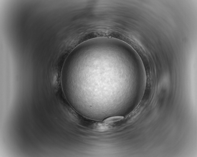 X0000096640134200802051136