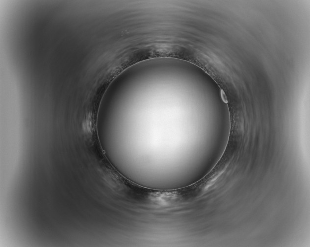 X0000096640135200802051136