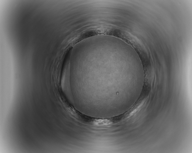 X0000096640137200802051136