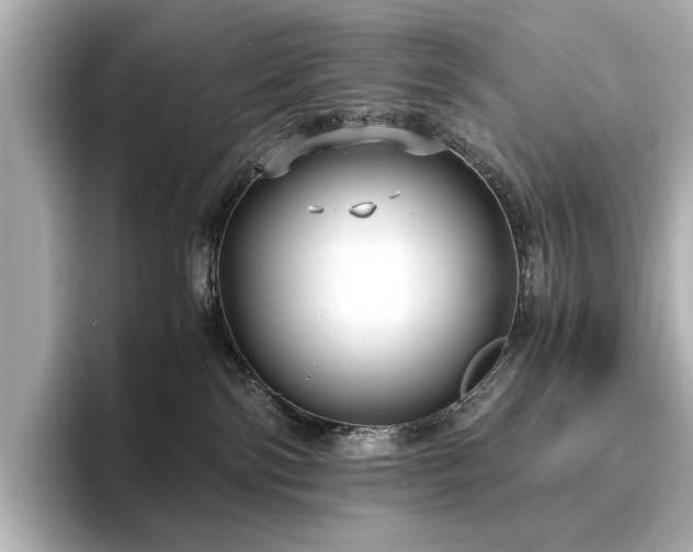 X0000096640138200802051136
