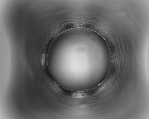 X0000096640139200802051136