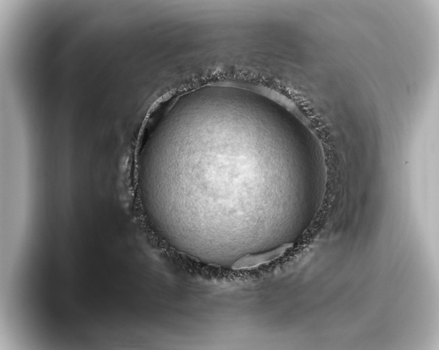 X0000096640144200802051136