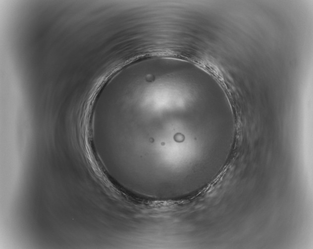 X0000096640145200802051135