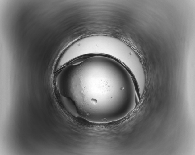 X0000096640146200802051135