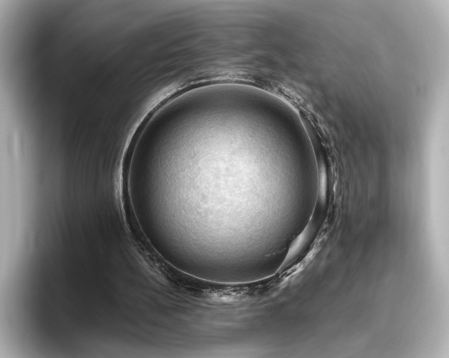 X0000096640148200802051135