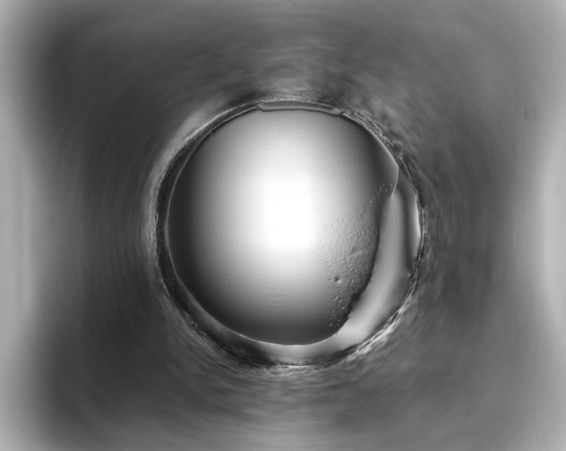 X0000096640150200802051135