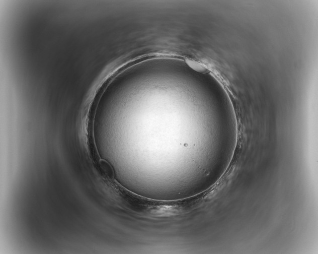 X0000096640151200802051135