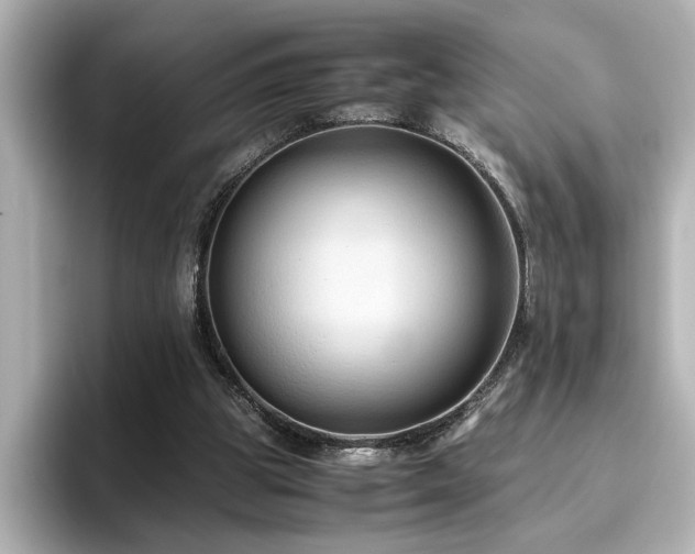 X0000096640153200802051135