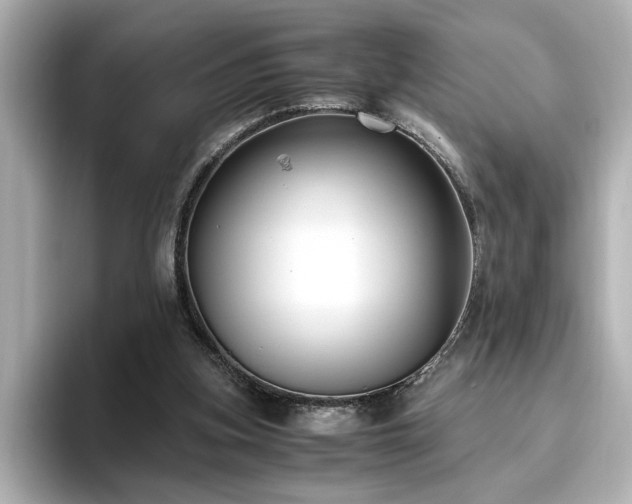 X0000096640155200802051135