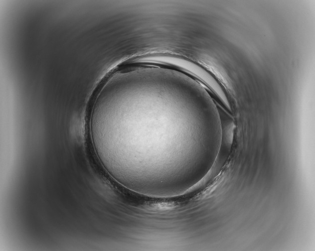 X0000096640156200802051135